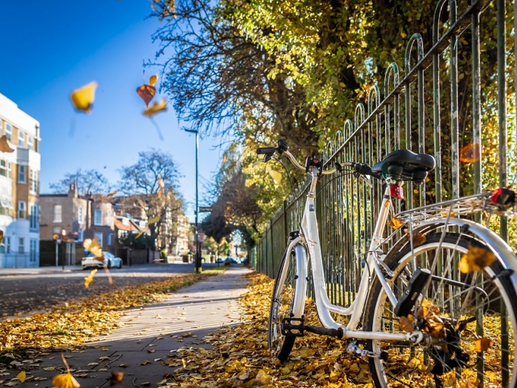 chiswick cleaning company