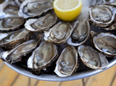 hastings seafood festival