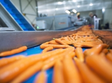food processing factory specialist clean Epsom
