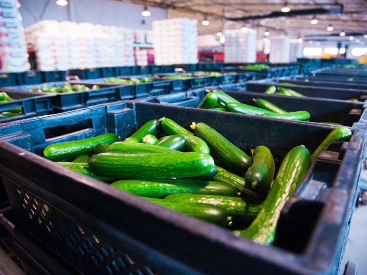 Warehouse Cleaning Cleaning Services Group