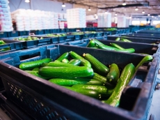 food safe cleaners to food distribution centres