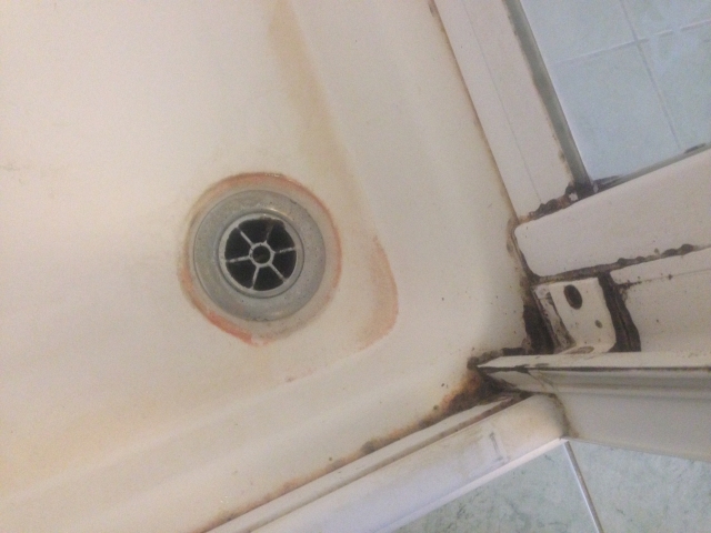 cleaning shower tray
