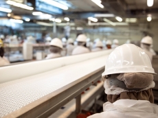 specialist cleans to clean zones in production plants